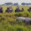 Tourists at Kaziranga National Park