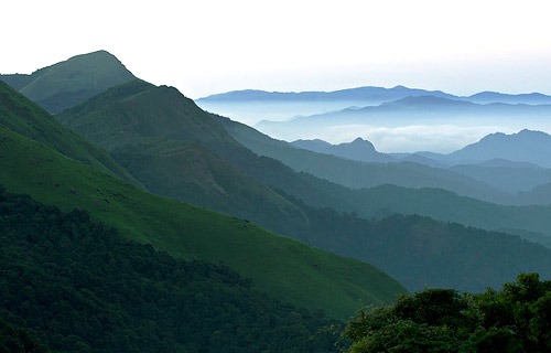 coorg